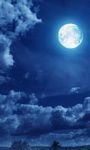 pic for Moon Light 768x1280